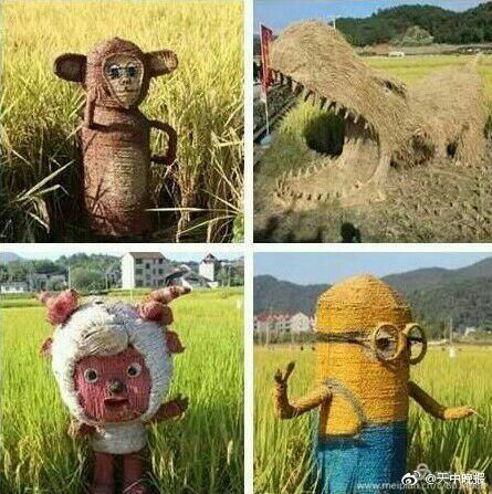 新蔡举办首届 稻香节