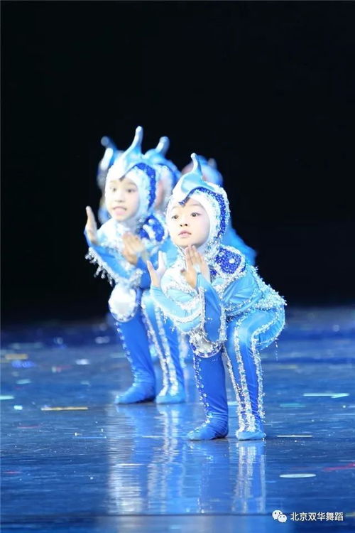 雏鹰展翅 二十载小荷风采，驯兽表演团的成长与绽放