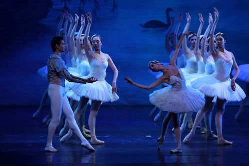 艺术盛宴即将揭幕 俄罗斯皇家芭蕾舞团《天鹅湖》南京巡演启幕