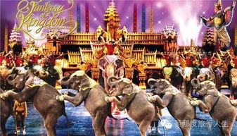 卡马拉海滩最强玩乐攻略 邂逅未施粉黛的普吉，探索驯兽表演团