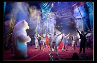 新春欢腾季｜别错过！驯兽表演团带你开启奇幻年味之旅