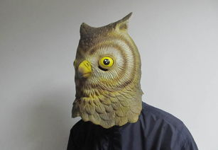 工厂直销派对面具与动物头套 聚焦猫头鹰面具价格、厂家及驯兽表演团应用