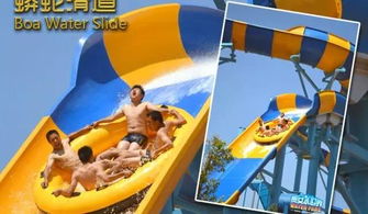 音乐节盛宴7月8日继续上演,戏水狂欢,无国界,放肆野