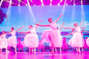 飞舞的童年 小白鹭——江西省少儿舞蹈精品展演圆满落幕